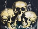 SKULL SNAPS - S/T GSF RARE FUNK ORIG 1973 LP
