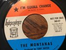 The Montanas I'M GONNA CHANGE/AStep In The Right Direction INDEPENDENCE 87 Soul
