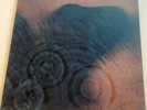 Meddle, Pink Floyd (1971, Vinyl, LP, Harvest)