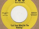 Johnnie & Joe Let Your Mind Do The Walking  J & S 42832 Soul Northern Rocksteady