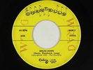 Garage 45 - Chantells - Break-Down - Century - mp3