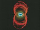 Pearl Jam Binaural 2017 remastered reissue vinyl 2 LP booklet NEW/SEALED