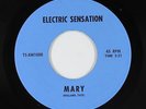 Garage Punk 45 - Electric Sensation - Mary - NM mp3 - rare