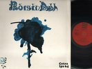 Roisin Dubh - Spazio G (Folkstudio)