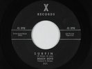 Beach Boys 45 - Surfin - X - mp3