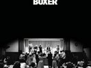 The National - Boxer NEW Vinyl LP