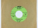 R&B 45 - Bobby Adams - I Want My Lovin' - Pet - VG++ mp3