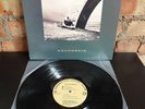 American Music Club ?– California (Vinyl)