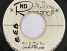 THE SKATALITES DELROY WILSON Black Sunday / Spit In The Sky ND RECORDS 45 HEAR