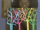 Tapes 'n Tapes ?The Loon LP Vinyl EX