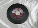 FLAMINGOS - DREAM OF A LIFETIME - PARROT ORIGINAL DOO WOP 45 RPM