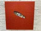Led Zeppelin Houses of the Holy Brand New Companion Book Super Deluxe