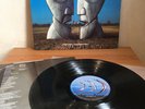 Pink Floyd - Division bell 1994 1-st press vinyl lp
