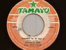 Panama Cumbia Tipica 45 MINGUITO SAEZ Cuando Tu Te Vayas TAMAYO Hear mp3