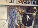 Brian Eno - Here Come the Warm Jets LP - Editions EG ENO 1 NM/VG+