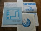 The Orchids Underneath The Window Underneath The Sink 7
