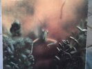 Steely Dan / Katy Lied, Vinyl LP MCA 37043 1979