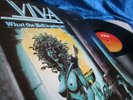 VIVA ?? WHAT THE HELL IS GOING ON ?? LOOKS UNPLAYED MINT 1st PRESS & INNERBAG