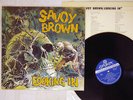 SAVOY BROWN LOOKING IN LONDON SLC-341 Japan VINYL LP