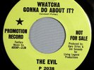 HEAR IT Psychedelic Garage Promo 45 rpm The Evil 