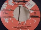 CHAPALA BEACH BOYS - The Unknowns 45 Vinyl Falcon Records 20 - 75 /CHAPALA THEME