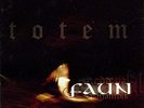 FAUN - TOTEM NEW VINYL