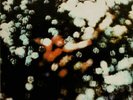Pink Floyd - Obscured By Clouds RARE ORIG 1972 Canadian Pressing Vinyl LP (VG+)
