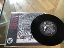 SIOUXSIE AND THE BANSHEES FILE  