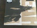 Pearl Jam Ten Sealed Newbury Comics Coke Bottle Clear Vinyl Record