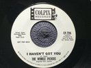 THE WINKLE PICKERS - I HAVEN’T GOT YOU rare US 1966 DEMO PROMO GARAGE PUNK EX+++