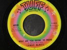 LANDY MCNEIL: What Are You Trying To Prove / A Little Tear Fell 45 (co) Soul