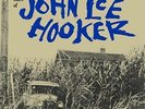 THE COUNTRY BLUES OF JOHN LEE HOOKER [8/2] NEW VINYL