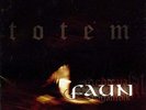 FAUN - TOTEM (CLEAR VINYL) NEW VINYL