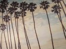 YOUNG GUN SILVER FOX - West End Coast - Vinyl (gatefold LP)