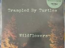 Trampled By Turtles - Wildflowers RARE Vinyl Record Store Day Exclusive SEALED