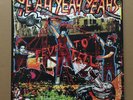 Yeah Yeah Yeahs ?– Fever To Tell  Vinyl LP Album Reissue Remastered lyric poster