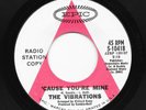 Vibrations - Cause Your Mine - Epic - WD - N /SOUL / MOD