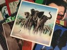 Elvis Costello Vinyl LP’s X 10