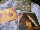 KATE BUSH VINYL ALBUMS - THE KICK INSIDE, LION HEART AND NEVER FOR EVER