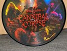 CANNIBAL CORPSE TORTURING AND EVISCERATING PICTURE DISC VINYL LP SLAYER DEATH ..