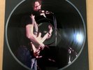 GRATEFUL DEAD   Live At The Felt Forum   LP PICTURE Disc 1,000 only Ltd Ed. EX+