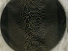 JOY DIVISION   Warsaw   Rare Picture Disc RZM RECORDS 200 LP EX+