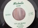 THE ILLUSIONS CITY OF PEOPLE RARE 1966 US MICHELLE LABEL GARAGE PUNK 45