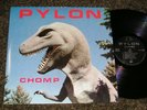 PRIVATE-PRESSING 1983 GEORGIA New Wave LP - PYLON 