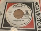 Northern Soul The Cavaliers I Really Need You/ Ive Gotta Find Her - Mint Copy