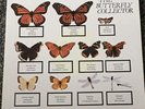 THE JAM  THE BUTTERFLY COLLECTOR RARE BLACK LABEL 2 X LP TBS JM005 PAUL WELLER