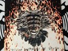 Shpongle - Divine Moments Of Truth  (12