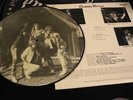 Vinyl LP QUEEN BITCH s/t  Picture Disc  US Pressing