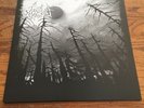Forest 2xlp Satanic Warmaster Drowning The Light Russia Black Metal