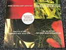 Pet Shop Boys Paninaro 95 Remixes US import 2 x 12